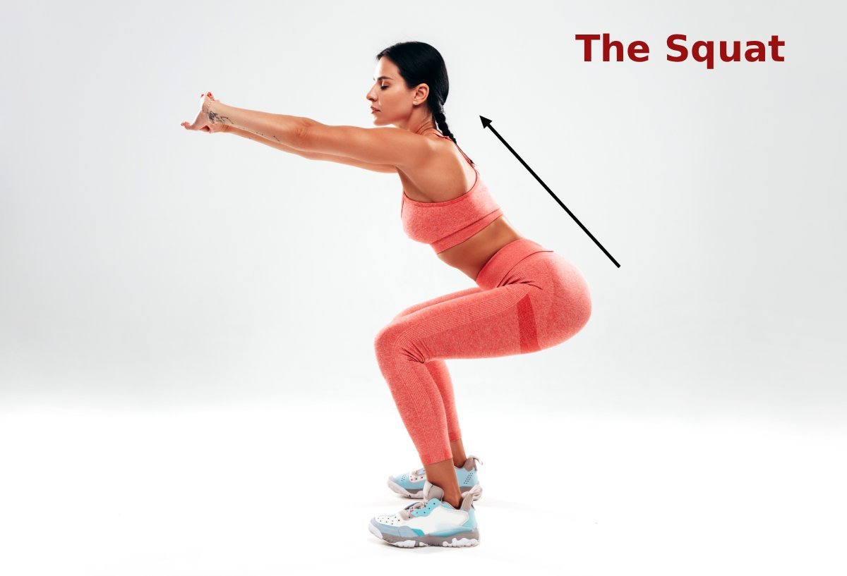 The-Squat exercise